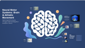BRAIN NEURO SYSTEMS