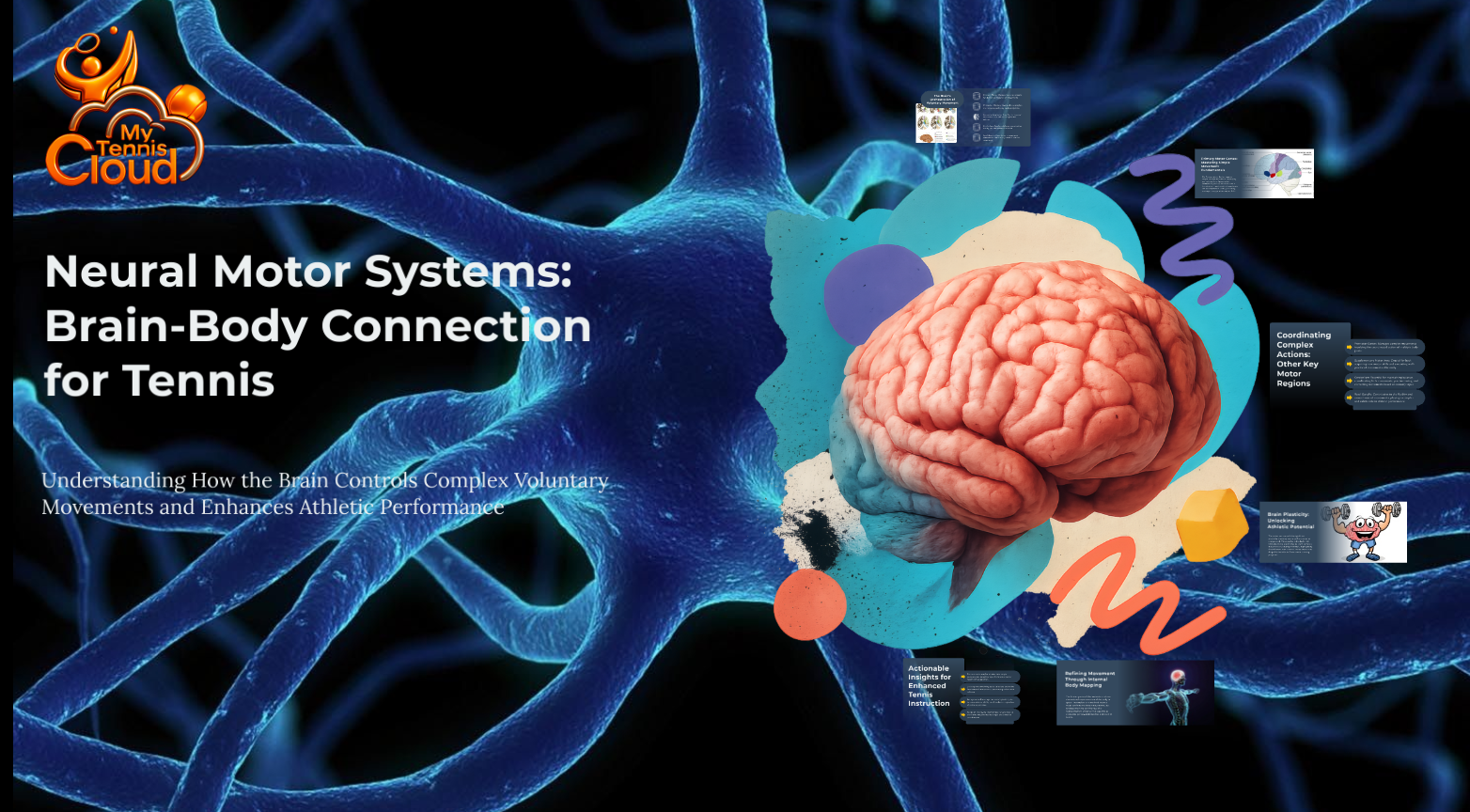 NEURAL MOTOR SYSTEMS