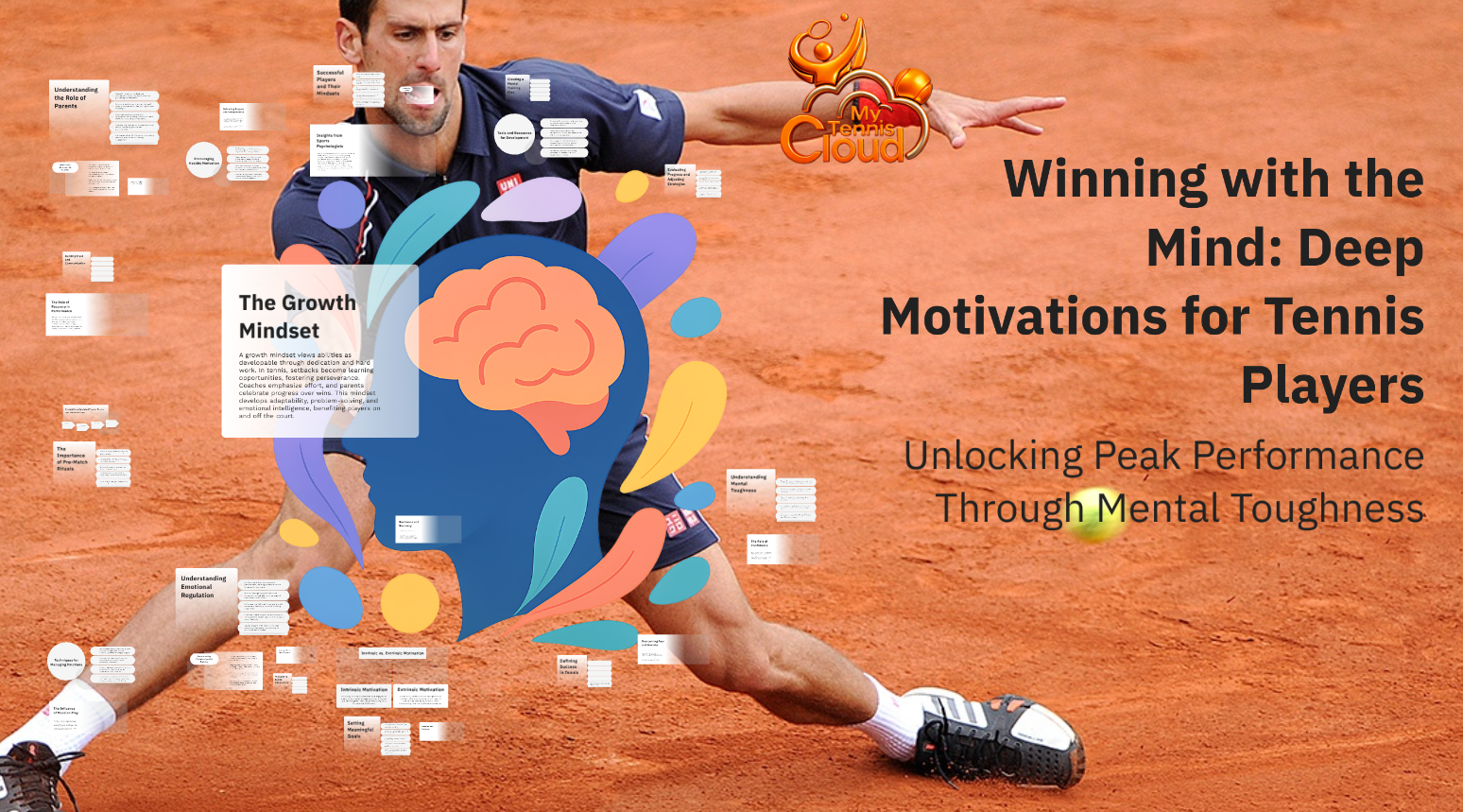 MINDSET AND MOTIVATIONS